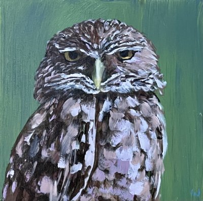 Wooley Dutton - What a Hoot #3