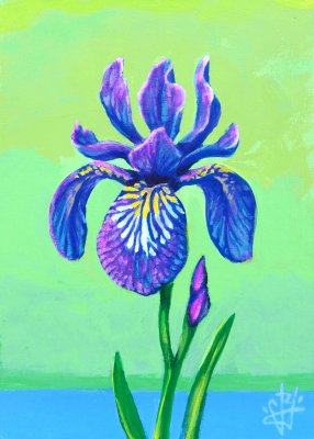 Jack Yuen - Wild Iris