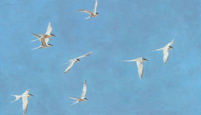 Linda Besse - You Are Now Free to Move About the Planet