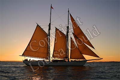 Louisa Gould - Vineyard Sound Sail