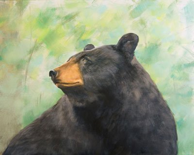 Caryn King - Backyard Bear
