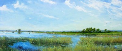 Gray Park  - Vineyard Marsh