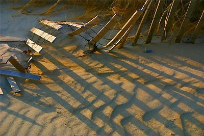 Louisa Gould - Lucy Vincent Beach & Fence