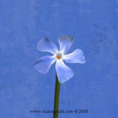 Louisa Gould - Blue Flower