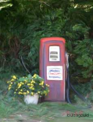 Louisa Gould - Ole Gas Pump on North Road