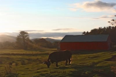Louisa Gould - Cow n Barn