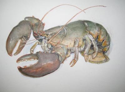 Ann Leggett - Lobster 3 