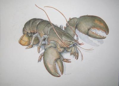 Ann Leggett - Lobster 1