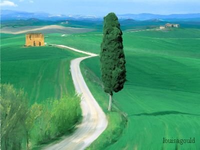 Louisa Gould  - Tuscan Country Road