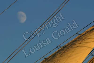 Louisa Gould - Moon & Sail