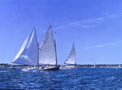 Ovid Osborn Ward - Cat boat Racing