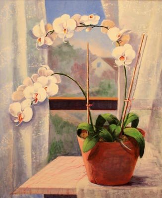 Maya Farber - White Orchids