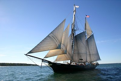 Louisa Gould - Vineyard Tall Ship