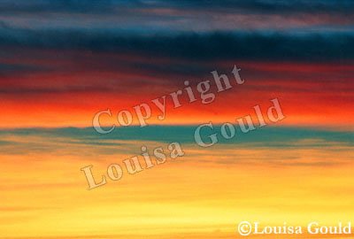 Louisa Gould - Sky