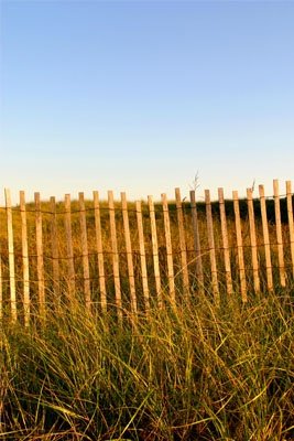 Louisa Gould - Vineyard Beach Grass & Fence