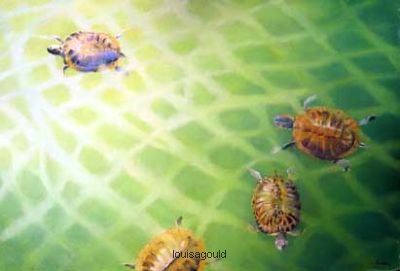 Gail Rodney - Turtles Lite
