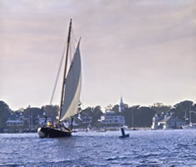 Ovid Osborn Ward - Vela -Edgartown Harbor