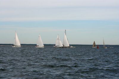 Louisa Gould - Around the Island Race