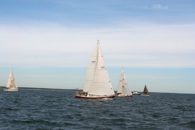 Louisa Gould - Around the Island Race