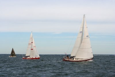 Louisa Gould - Around the Island Race