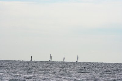 Louisa Gould - Around the Island Race