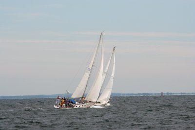 Louisa Gould - Around the Island Race