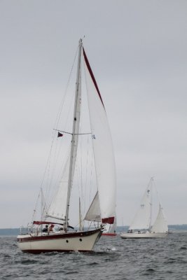 Louisa Gould - Around the Island Race Weekend