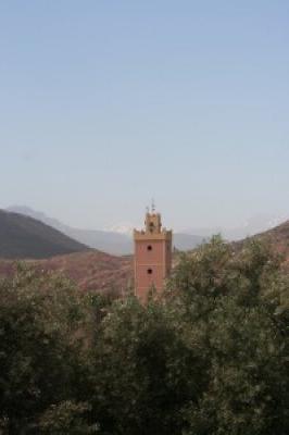 Louisa Gould - Morrocco