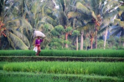 Louisa Gould - Bali Indonesia