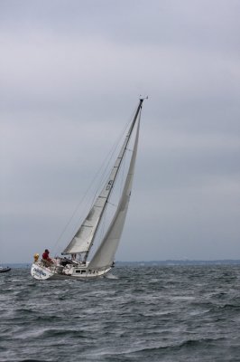 Louisa Gould - Vineyard Cup 2013