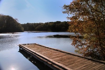 Louisa Gould - Vineyard Pond