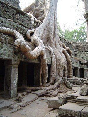 Louisa Gould - Cambodia