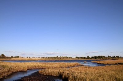 Louisa Gould - Vineyard Marsh