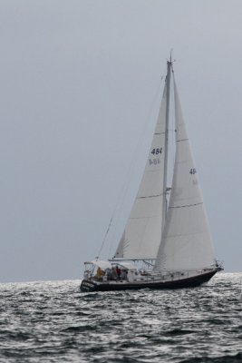 Louisa Gould - Around the Island Race Weekend