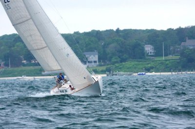 Louisa Gould - Vineyard Cup 2013