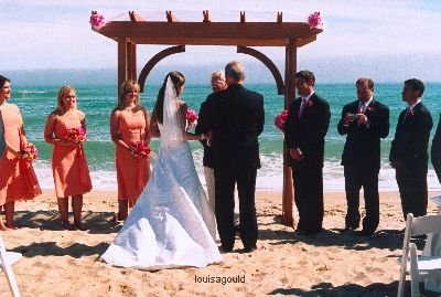 Louisa Gould - New Wedding Images for 2009