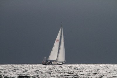 Louisa Gould - Around the Island Race Weekend