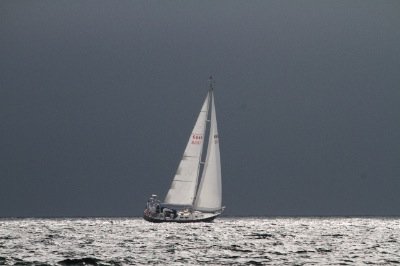 Louisa Gould - Around the Island Race Weekend