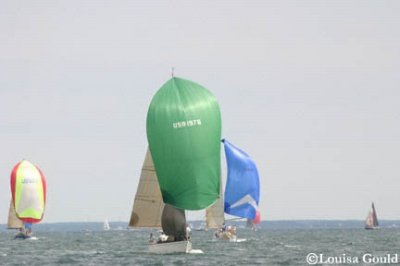 Louisa Gould - Buzzards Bay