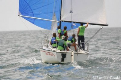 Louisa Gould - Buzzards Bay