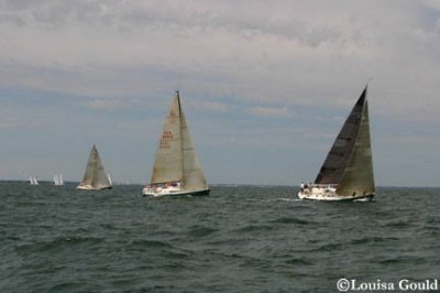 Louisa Gould - Buzzards Bay