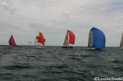 Louisa Gould - Buzzards Bay