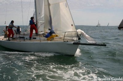 Louisa Gould - Buzzards Bay