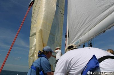 Louisa Gould - Buzzards Bay