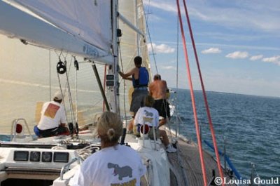 Louisa Gould - Buzzards Bay