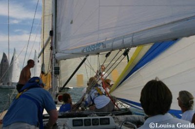 Louisa Gould - Buzzards Bay