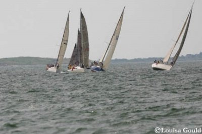 Louisa Gould - Buzzards Bay