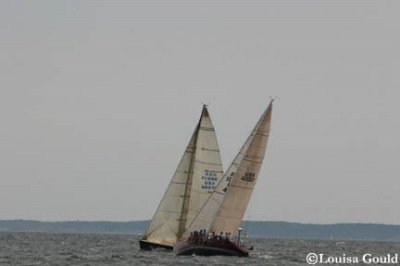 Louisa Gould - Buzzards Bay