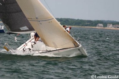 Louisa Gould - Buzzards Bay