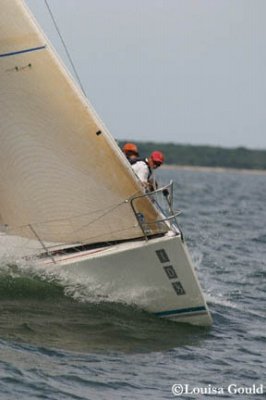 Louisa Gould - Buzzards Bay